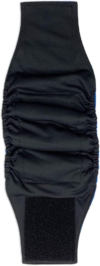 Paw Inspired 2-Count Reusable Male Dog Wraps, Washable Diapers for Male Dogs, Belly Bands for Incontinence, Surgery, Male Marking (Large Size, Assorted Colors with Black Lining, Pack of 2)