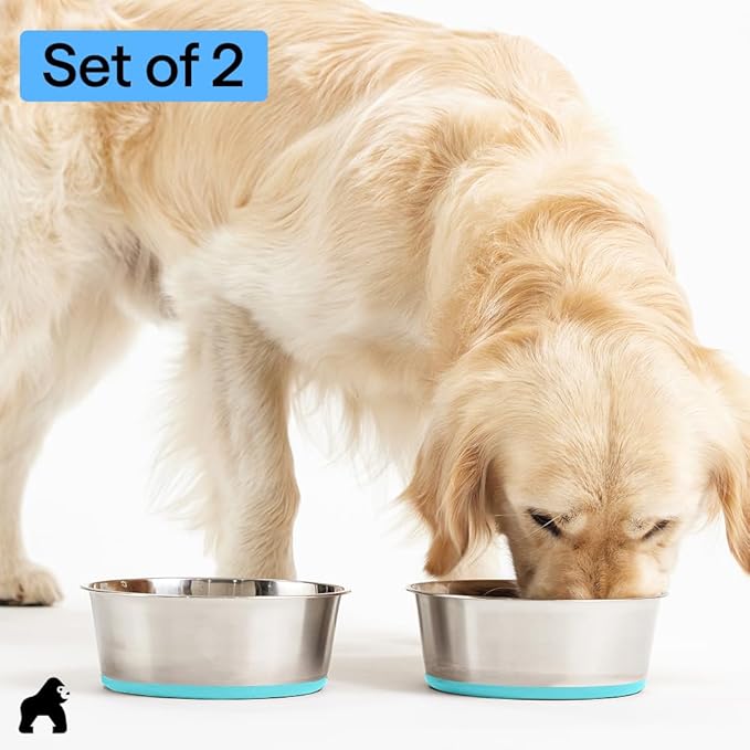 GORILLA GRIP Dog Bowls, Heavy Duty 304 Stainless Steel Holds 2 Cups Each (16 fl oz) Food and Water Bowl for Feeding Dogs and Cats Dishwasher Safe Rust Resistant BPA Free Rubber Base Set of 2 Turquoise
