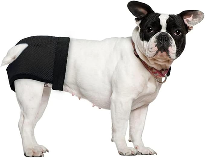 Female Dog Heat Cycle with 3 Replace Diaper,Dog Pants in Heat Reusable Diapers Adjustable Protective Pants for Dogs Black S