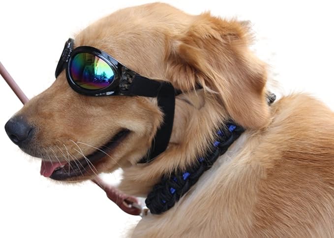 NACOCO Pet Glasses Dog Sunglasses Dog Glasses Golden Retriever Samoyed Sunglasses Goggles Big Dog Sunglasses (Black)