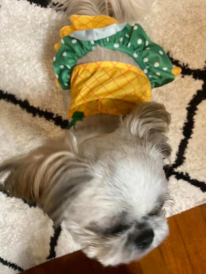 Funny Dog Swimwear Bikini Summer Dog Clothes Beach Swimsuit Puppy Bathing Suit Puppy Vest Cooling Pet Shirt for Small Dogs, Cat Apparel (Large, Yellow Pineapple)