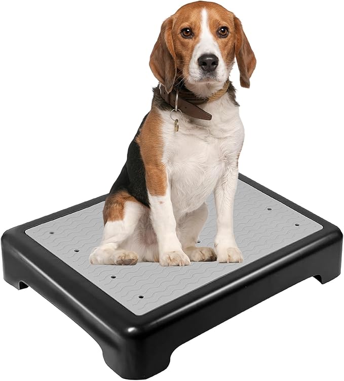 Dog Training Place Board with Non-Skid Surface, Dog Platform for Training, Portable Dog Agility Platform，Dog Training Stand, Dog Training Equipment Suitable for Small Dogs