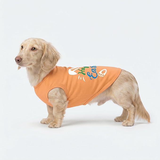 Fitwarm Happy Easter Bunny Dog Shirt, Easter Dog Clothes for Small Dogs Boy Girl, Cute Pet Outfit, Green, Blue, White, Orange, Medium