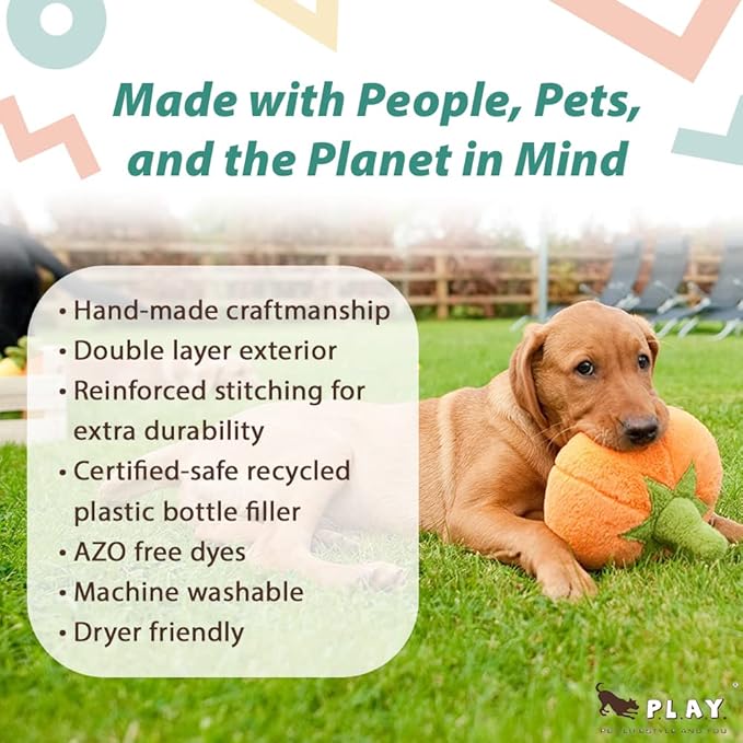 P.L.A.Y. Cute Plush Dog Toys - Fruit & Vegetable Themed Durable Squeaker Chew Toy, Great for Puppies & Small, Medium, Large Dogs - Machine Washable, Recycled Materials (Garden Fresh Pumpkin, Medium)