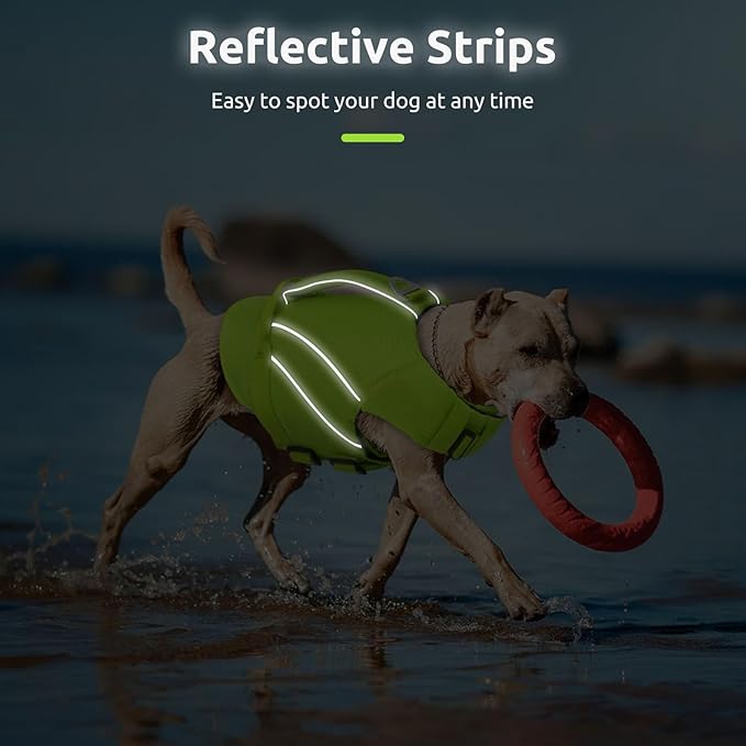 Queenmore Dogs Life Jackets for Small Dogs, Dog Life Vest for Boating, Lightweight Life Jacket for Pets with Chin Float, Ripstop Puppy Swimming Vest with Superior Buoyancy (Green,XS)