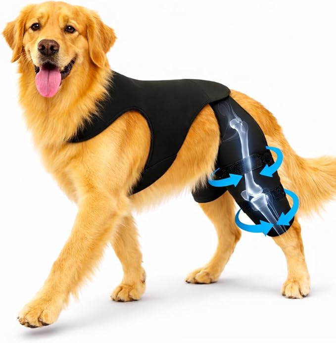 Dog Knee Brace for Rear/Hind Legs (ACL/CCL) – Dual-Leg Support with 4 Metal Stabilizers & Non-Slip Harness | Stability, Mobility & Pain Relief for Arthritis, Hip Dysplasia & Luxating Patella | S–XL