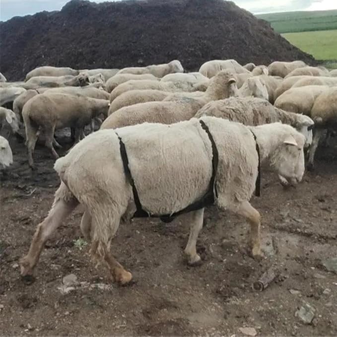 Goat Anti Breeding Apron, Anti Mating Skirt for Sheep & Goats, Animal Supplies, Livestock Clothing with Adjustable Strap, Prevent Unwanted Breeding