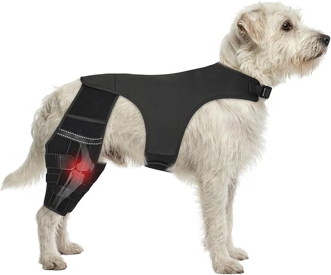 Adjustable Dog Knee Brace for ACL Tear and Arthritis Recovery - Dual Hind Legs Support with Harness Connection - Orthopedic Leg Wrap for Joint Stability and Pain Relief in Small to Large Dogs (S)