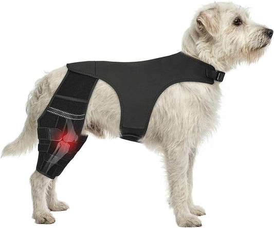 Adjustable Dog Knee Brace for ACL Tear and Arthritis Recovery - Dual Hind Legs Support with Harness Connection - Orthopedic Leg Wrap for Joint Stability and Pain Relief in Small to Large Dogs (S)