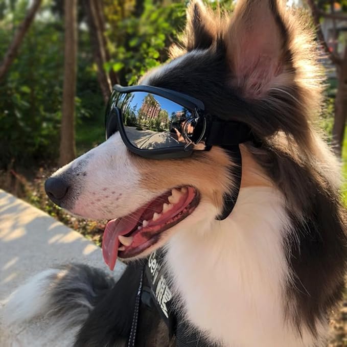UV Protection Dog Goggles for Medium & Large Dogs - Waterproof Windproof Sunglasses, Durable Protective Eyewear for Long-Snout Breeds - Outdoor Hiking Running Glasses (Silver)