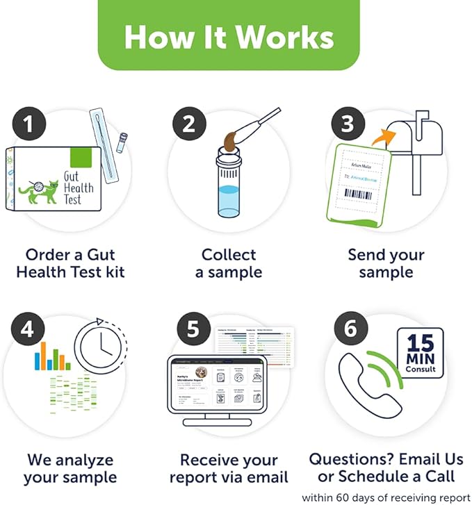 AnimalBiome Cat Gut Health Test – KittyBiome At Home Stool Testing Kit, Feline Fecal Analysis for Digestive Issues, Diarrhea & Allergy Insights w/Personalized Report & Custom Plan (Cats in US)