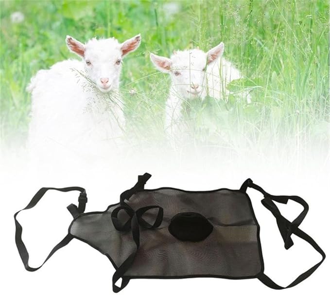 Goat Anti Breeding Apron, Anti Mating Skirt for Sheep & Goats, Animal Supplies, Livestock Clothing with Adjustable Strap, Prevent Unwanted Breeding