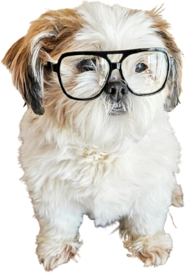 G002 Dog Pet Clear Lens Costume Glasses Small to Medium Breeds 12LBS~30LBS Prop Photoshoot Sunglasses (Turbo Black-Clear)