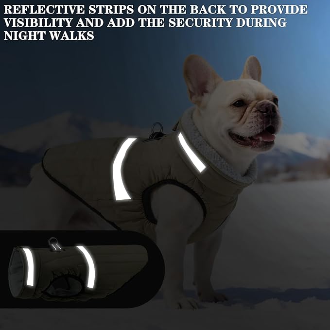 EXPAWLORER Dog Winter Coat Jacket, Thick Warm Waterproof Reflective Puppy Snowsuit with Harness Buit in, Pet Fleece Vest Soft Turtleneck with Zipper Cold Weather for Small Medium Dogs - Green, S