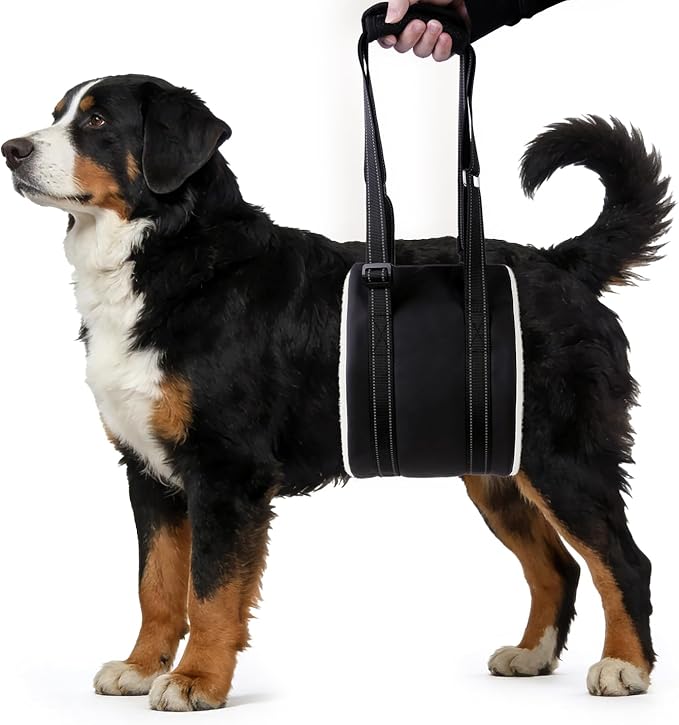 Dog Lift Harness, Adjustable Comfortable Dog Sling with Handle for Hind Leg Support Soft Lift Support and Rehab Harness for Weak Rear Legs, Helps Senior, Injured, Disabled and After ACL Surgery Dogs L
