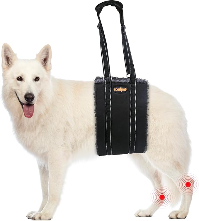 Portable Dog Lift Harness, Thickened Lambswool Dog Lift Harness for Hind Leg, Hip Support Harness Helps Elderly pet, Injured, After Surgery (Large)