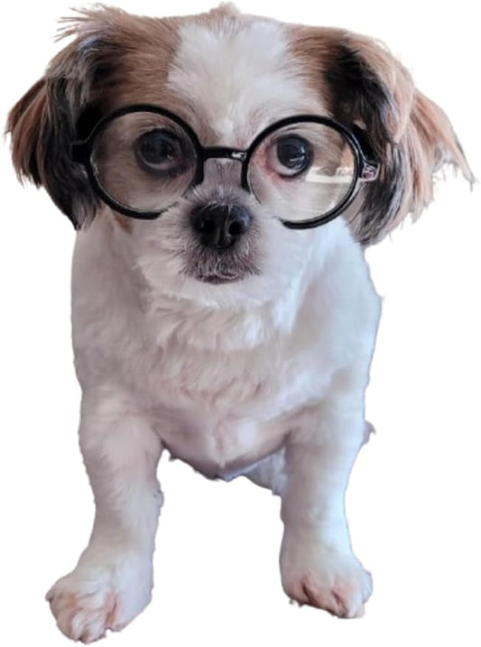 G002 Dog Pet Clear Lens Costume Glasses Small to Medium Breeds 12LBS~30LBS Prop Photoshoot Sunglasses (Round Black-Clear)