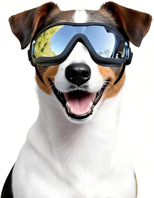 Dog Goggles Medium Breed with UV Protection Windproof Anti-Fog Dog Sunglasses Clear View Dog Glasses for Walks/Car Rides/Motorcycle Riding/Bike Riding, Medium