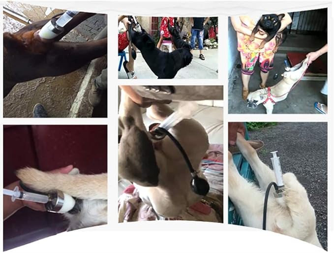 iDili Professional Dogs Artificial Insemina Syringe, Imitation Natural Mating Insemination Artificial Silicone Inseminating Syringe (C: for 10-20KG Dogs)