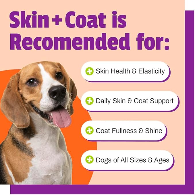 Pet Naturals Skin and Coat for Dogs with Dry, Itchy and Irritated Skin, 30 Chews - Salmon Oil, Vitamin E and Flax Oil - No Corn or Wheat - Vet Recommended