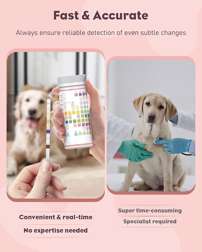 Pawfly Urine Test Strips for Dogs & Cats, 100 Strips, Pet Urine Testing Strips for 10 Parameters, UTI Test Strips, Veterinary Urinalysis Test Strips for Leukocytes, Protein, Ketone, Glucose, pH & More