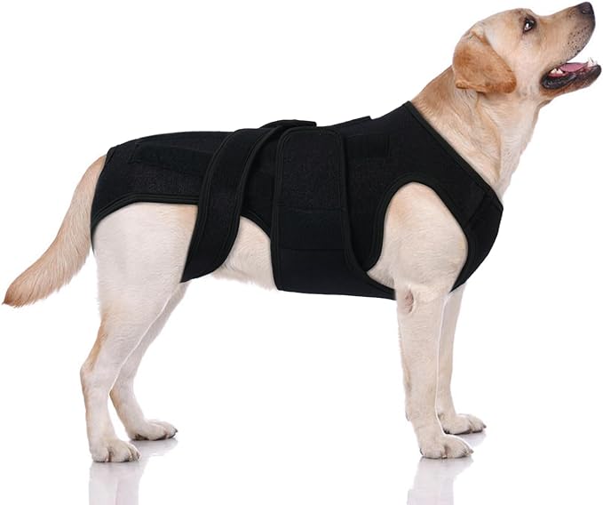 Post-Op Spinal Stability Wrap for Giant Dogs - Extra Long Spinal Stability Brace with 5 Plastic Support Strips, Breathable & Adjustable for Less Mobile Large Breed Dogs, Black 3XL