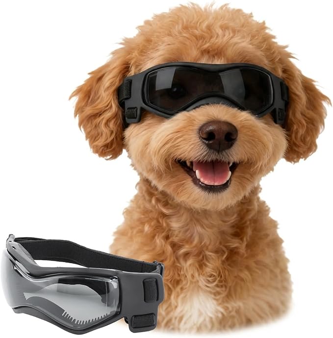 LESYPET Small Dog Sunglasses Dog Goggles UV Wind Dust Protection Pet Sunglasses Eye Protection for Outdoor Walking Riding, Black S