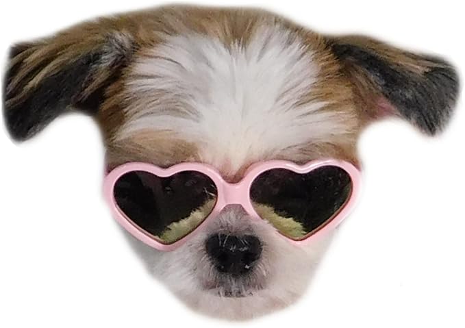 G016 Dog Cat Pet Heart Sunglasses Glasses for Small Breed up to 15lbs (Heart Pink-Pink Mirror)