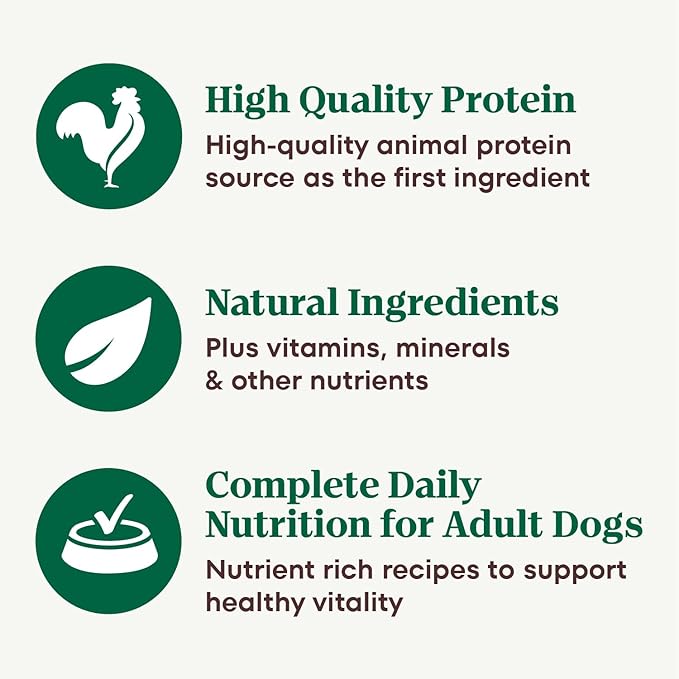 Nutro Natural Choice Cuts in Gravy Wet Dog Food, Grain Free Dog Food Wet Recipes, Beef, Lamb, Chicken, and Turkey Variety Pack, 3.5 oz. Trays (36 Count)