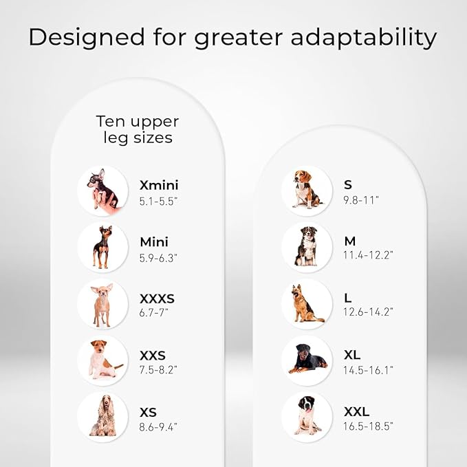 Ortocanis Dog Knee Brace for Hind Leg Support – Flexible Neoprene Knee Brace for Dogs with Joint Instability, Torn ACL, Limping or Osteoarthritis – Comfortable Support for Recovery (X-Mini, Right Leg)