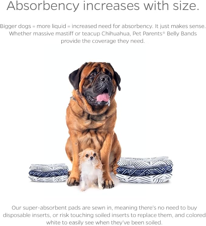 Pet Parents® Washable Belly Bands for Male Dogs (3pack) + Extendrs® of Durable Dog Diapers Male, Premium Male Dog Diapers & Dog Wraps (X-Small, Kahuna)