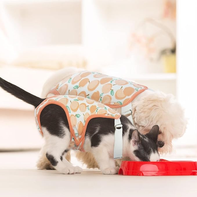QBLEEV Dog Diapers Female Washable Sanitary Pantie with Adjustable Suspender, Reusable Doggie Diaper Puppy Diapers Male Cute Pet Period Panties for Dogs in Heat, Dog Underwear for French Bulldog XL