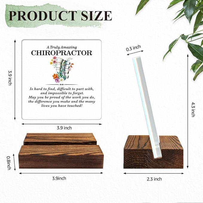 A Truly Amazing Chiropractor Acrylic Sign with Wood Stand, Chiropractic Sign Gifts, Funny Office Living Room Desk Plaque Decor for Spine Doctor, Spine PT Top Chiropractor Gifts