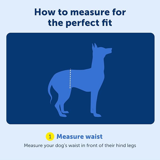 PetSafe CareLift Rear Support Harness - Lifting Aid with Handle and Shoulder Strap - Fits Waist Measuring 27-37 inches, Dog Weight 70lb-130lb, Large, Black