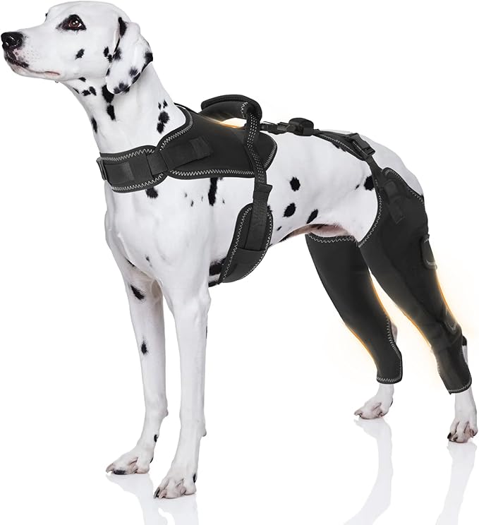 Dog Knee Brace for Torn Acl Hind Legs - Provides Joint Protection and Warmth, Upgraded Adjustable Leg and Hip, Dogs Rear Leg Wrap Harness Set for Leg Wound Care and Lick Prevention, L