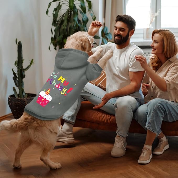 GreenJoy Dog Sweater Dog Hoodie Cold Weather Coat Hooded Sweatshirt for Puppies,Cats, Small Medium Large Dogs (Grey(It's My Birthday), X-Large)
