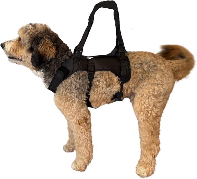 Doggie Stylz Dog Lift Harness for Large Dogs Full Body Support Sling Dog Carrier has Adjustable Handles Recovery Vest for Senior Dogs, Arthritis Joint Injuries, Mobility Aid Back Leg Support (Medium)