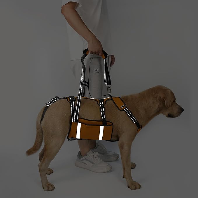 COODEO Mobility Dog Lift Harness, Emergency Carry Sling, Pet Rear Leg Support Rehabilitation Lifts Vest, Dog Carrier for Senior Dogs Joint Injuries, Arthritis (Orange, XL)