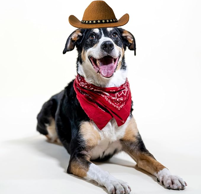 Dog and Cat Cowboy Hat with Bandana Scarf - Mini Pet Costume for Halloween, Holiday, Party Decoration (Brown, Large)
