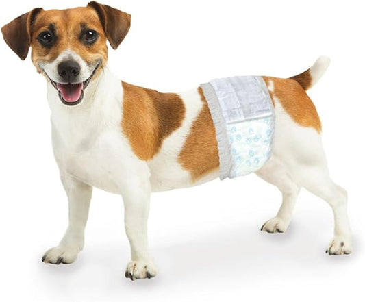 Four Paws Wee-Wee Super Absorbent Disposable Adjustable Dog Potty Training Male Wraps Diapers, Leak-Proof Protection for Puppies and Small Dogs, Extra Small, 36 Count