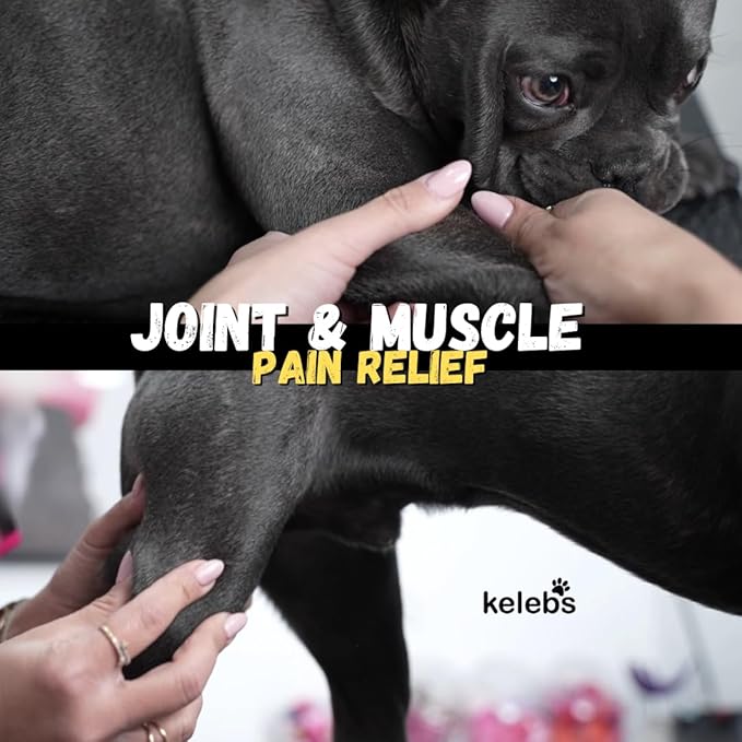 KELEBS Dog Arnica Massage Oil | Pain Relief for Muscles, Arthritis, HIPS, and Joints | for Active & Senior Dogs | Organic Arnica-Infused Oil Blend – Only 5 Ingredients | Glass Bottle (2 Pack)