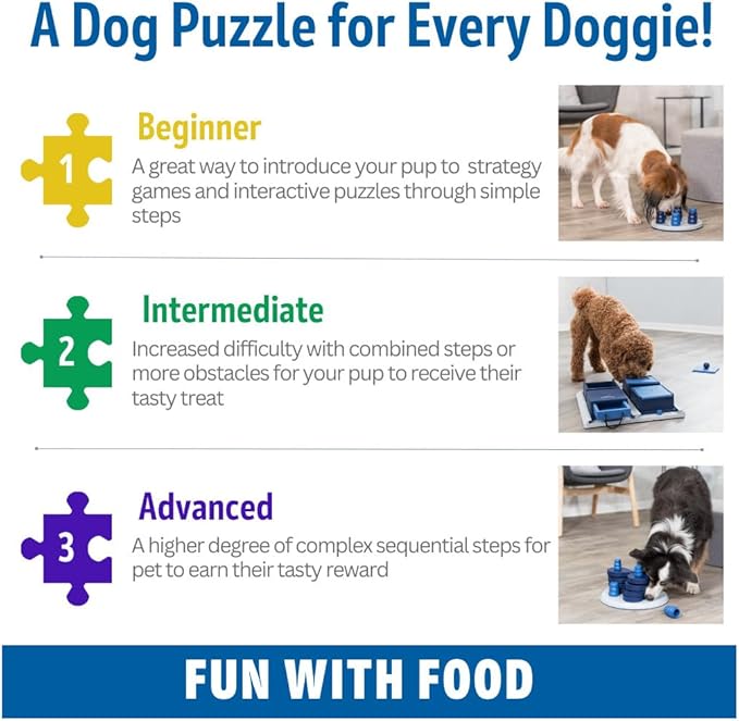 TRIXIE Poker Box 2 Dog Activity Interactive Toy, Level 3 Food Puzzle Game, Brain Teasing Treat Dispenser, IQ and Mental Development Toy for Smart Dogs, Enrichment Toy for Boredom Busting