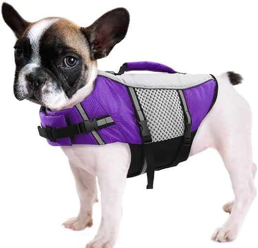 Queenmore Dog Life Jacket Swimming Vest Lightweight High Reflective Pet Lifesaver with Lift Handle, Leash Ring Purple,M