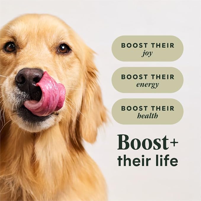 Instinct RawBoost, Natural Dry Dog Food with FreshDried Raw, High Protein, Grain-Free Recipe - Real Beef, 3.5 lb. Bag