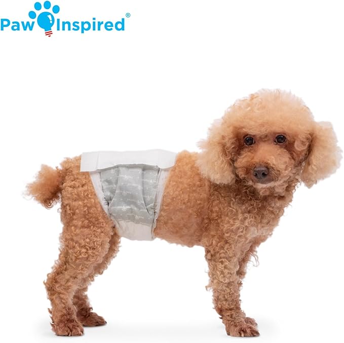 Paw Inspired Disposable Male Dog Wraps, Belly Band for Dogs | Disposable Dog Diapers | Belly Bands for Male Dogs (12 Count, Small)