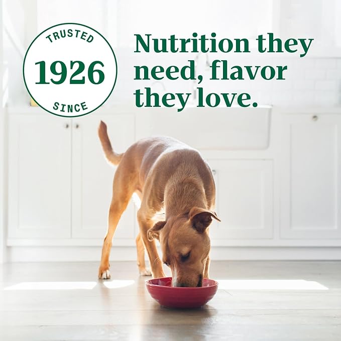 Nutro Ultra Wet Dog Food Senior Pate Trio of Proteins Chicken, Lamb & Whitefish, Senior Dog Wet Food, 3.5 oz. Trays, (24 Count, Pack of 1)