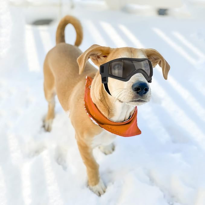 NAMSAN Dog Goggles for Small to Medium Dogs, Dog Sunglasses UV Protection for Medium Dogs Outdoor Cycling Driving, Small Doggy Glasses Dog Eye Protection, Anti-Fog Windproof, Adjustable, Cool Black