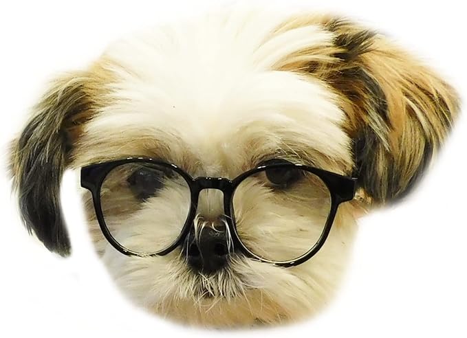 G015 Dog Cat Pet Round Costume Glasses for Small Breeds up to 15lbs (Panto Black-Clear Lens)