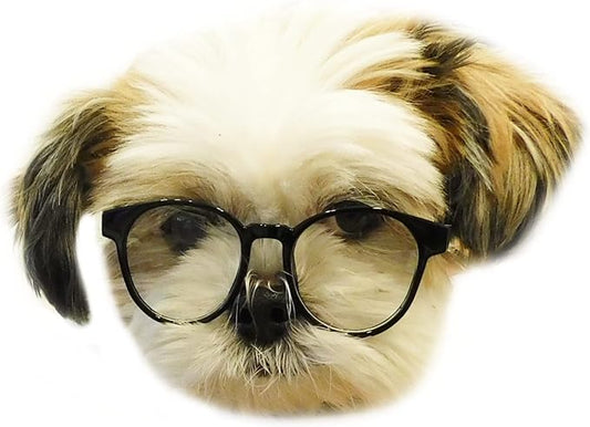 G015 Dog Cat Pet Round Costume Glasses for Small Breeds up to 15lbs (Panto Black-Clear Lens)