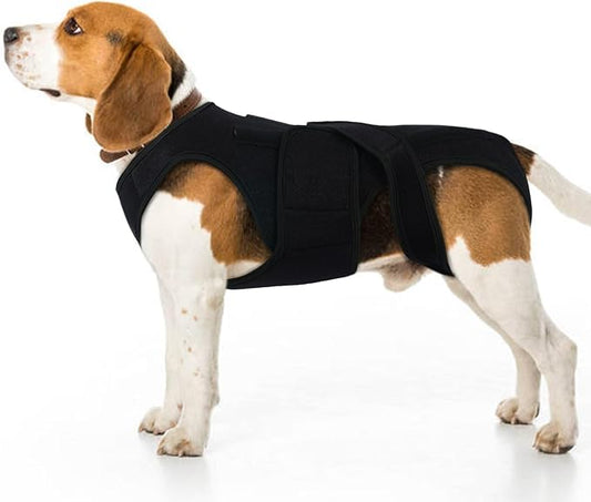 Back Brace for Small Dogs - Adjustable Dog Spine Support Vest with 5 Support Rods, Breathable Fabric for Post-Op Comfort & Hip Support for Small Pets, Black XS